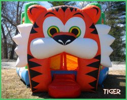 Tiger Bouncer
